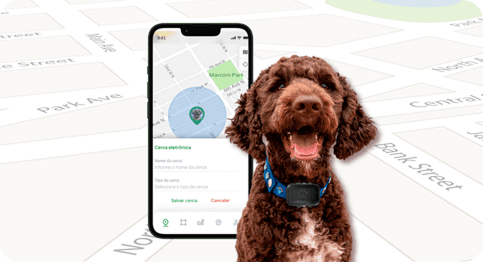 Localização em tempo real